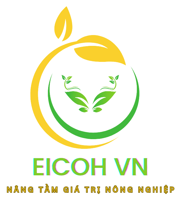 Công ty bao bì sản xuất và thương mại EICOH VIỆT NAM